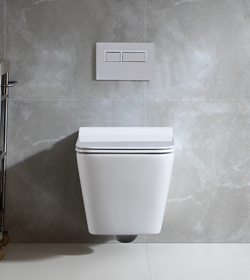 Swirl-Flush' Wall-Hung WC with Bidet Seat Cover