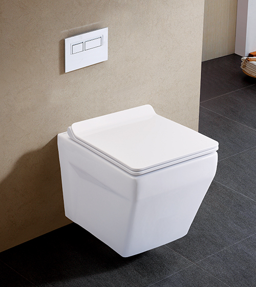 Rimless Wall-Hung Toilet with Slim UF Seat Cover – Aquant India