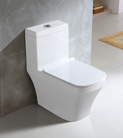 Floor-Mounted 1-Piece Toilet with Slim UF Seat Cover – Aquant India