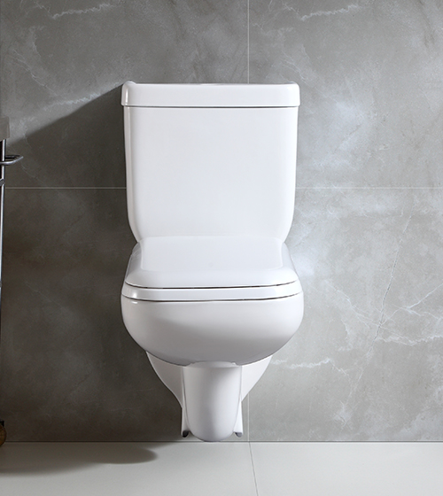 Wall - Mounted 2-Piece Toilet with Slim PP Seat Cover – Aquant India
